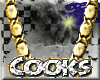 [D]CooksXoxoGold