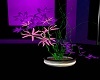 Zen Plant