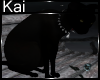 HALLOWEEN BLACK CAT