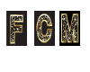 FCM first class mod