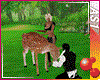 [AS1] Fun with Deers