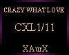 CRAZY WHAT LOVE