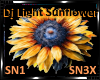 *Dj Light Sunflower
