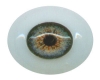 Female Eye 2