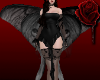 K | Moth Wings