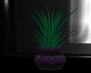 Plant in Purple Vase