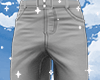 Pants Grey