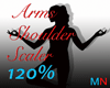 Arms Shoulder Scaler120%