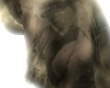 Nomad3