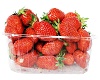 Strawberries Container