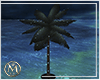 ℳ▸Extreme Palm L.