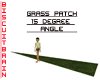 Grass Patch 15 D. Angle