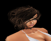 Brown Highlight