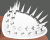 !M! WHITE  SHOULD SPIKE