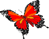 [ARG] Butterfly Red