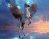 ~R~Mystical Pegasus bg