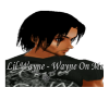 Wayne On Me