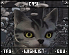 Cat Animation