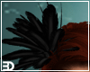 Crow Keeper Feathers