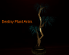 (DN)Destiny Plant Anim.