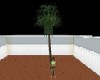 High poly palm tree