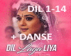 Dil Laga Liya+Danse