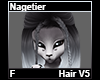 Nagetier Hair F V5