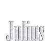 Julius Custom Chain