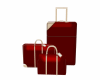 Luggage