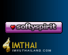 iTag* softyspirit