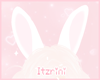 Ur bunny girl ♡
