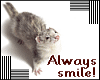 smiling ferret