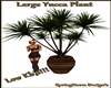 Lrg Yucca Plant Low kbs!