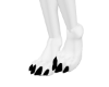 Dog feet