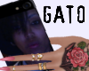iPhone Gato