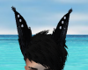 Black Fox Ears