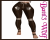 Leather Pants Brown  Zip