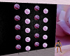 pink roses wall deco