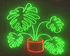 neon plant picture