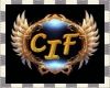 FL - CIF Arm Band F