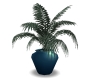 plant in vase Aqua