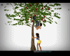 Kisses On apple tree