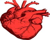 Real Heart avatar