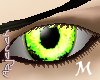 [apj] Eye TZ M