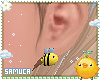 Kid 🍯 Bee Earring