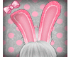 Pink bunny bundle