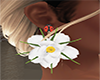 Spring Earrings Jasmine