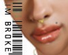 Lip 61