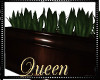 !Q Plant Divider
