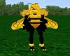 Bee Paws F V1
